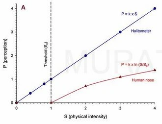 Weber–Fechner yasası koku alma murat aydın