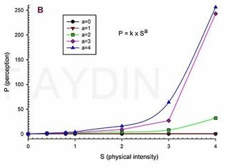 Koku alma fiziği murat aydın