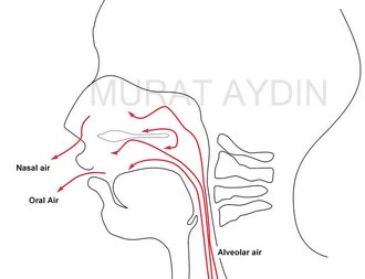 Ağız burun nefes gazları karışım şeması Dr Murat Aydın