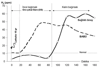 sibo teşhisinde nefes testi